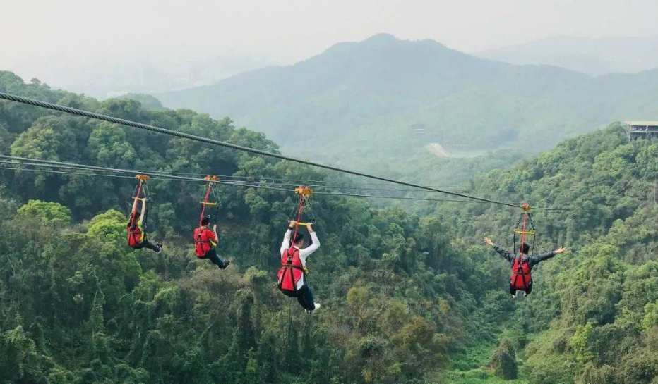 適合森林公園的游樂項目叢林滑索——簡單好玩，成本還低